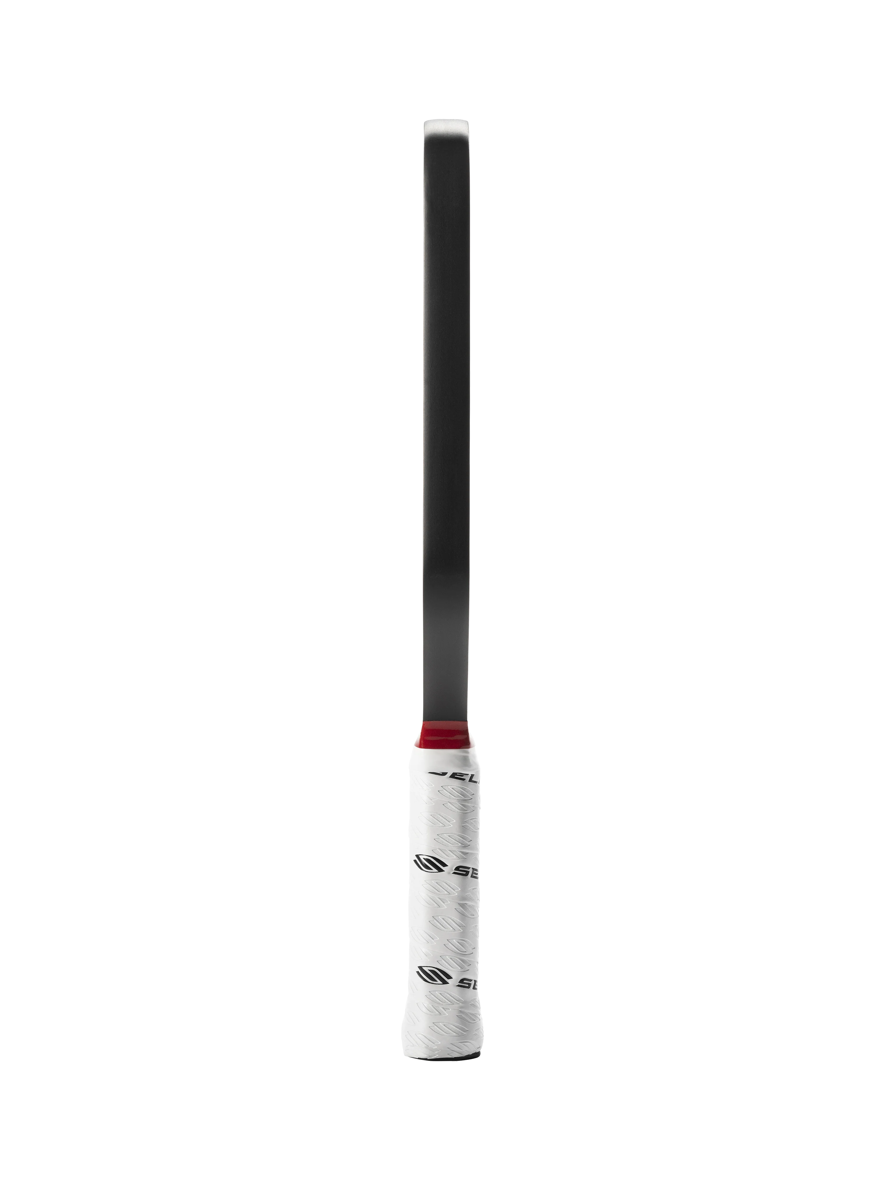 Selkirk LABS Project 008